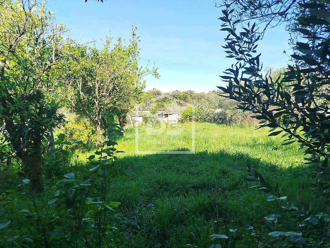 Moradia T3 à venda em Cabanas de Viriato, Carregal do Sal — foto 15