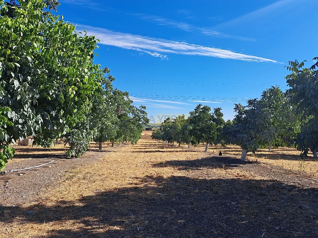 Moradia T4 à venda em Ferreira do Alentejo e Canhestros, Ferreira do Alentejo — foto 16