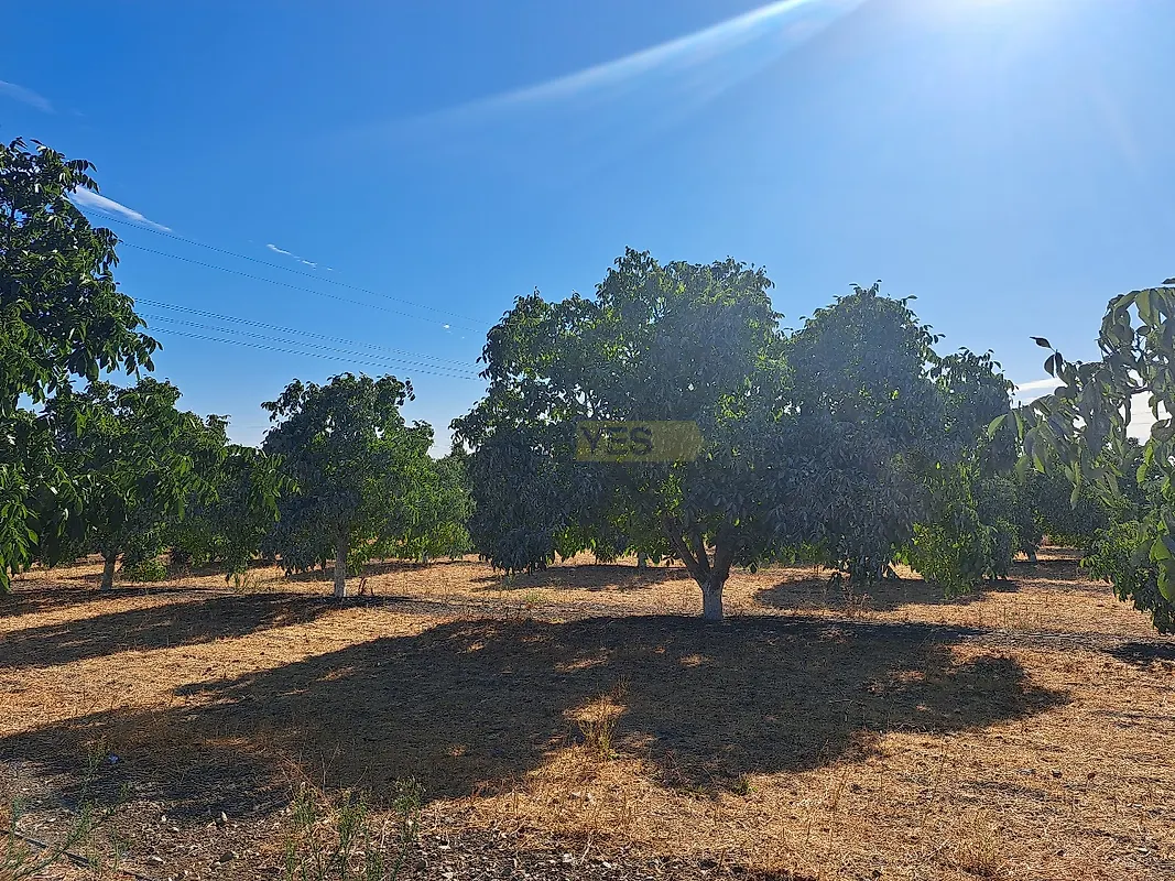 Moradia T4 à venda em Ferreira do Alentejo e Canhestros, Ferreira do Alentejo — foto 17