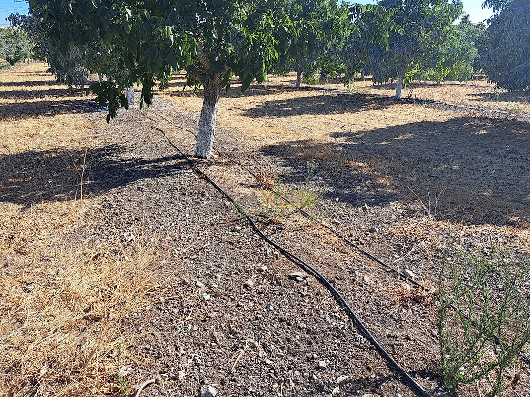 Moradia T4 à venda em Ferreira do Alentejo e Canhestros, Ferreira do Alentejo — foto 21
