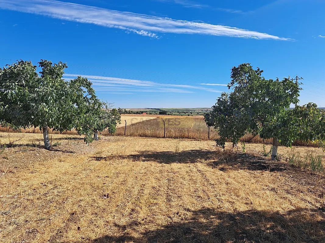 Moradia T4 à venda em Ferreira do Alentejo e Canhestros, Ferreira do Alentejo — foto 22
