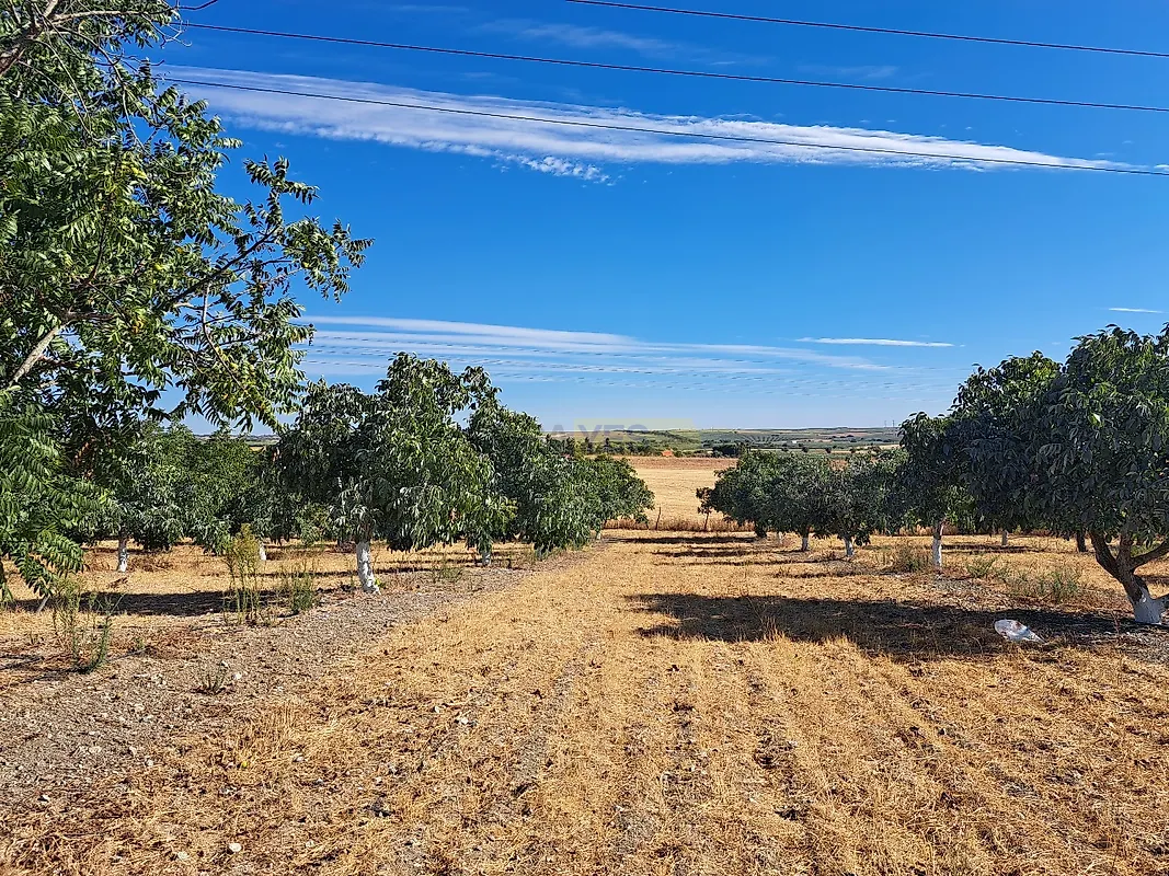 Moradia T4 à venda em Ferreira do Alentejo e Canhestros, Ferreira do Alentejo — foto 23
