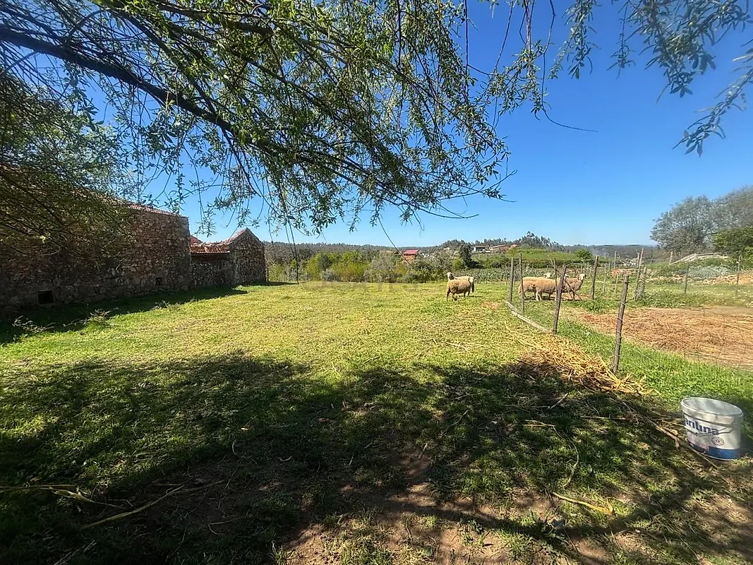 Moradia T3 à venda em Carapinha, Tábua — foto 11
