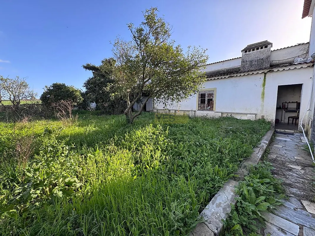 Moradia T3 à venda em Ferreira do Alentejo e Canhestros, Ferreira do Alentejo — foto 39