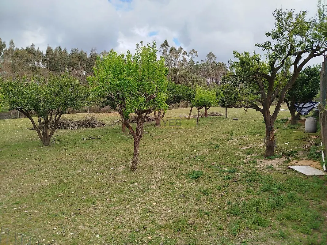 Moradia T4 à venda em Bidoeira de Cima, Leiria — foto 10