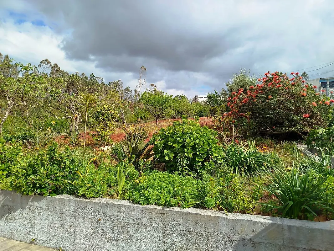 Moradia T4 à venda em Bidoeira de Cima, Leiria — foto 16