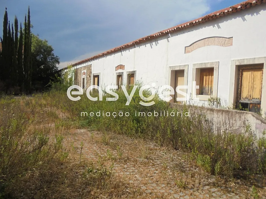 Moradia T6+ à venda em Santa Margarida da Coutada, Constância — foto 6