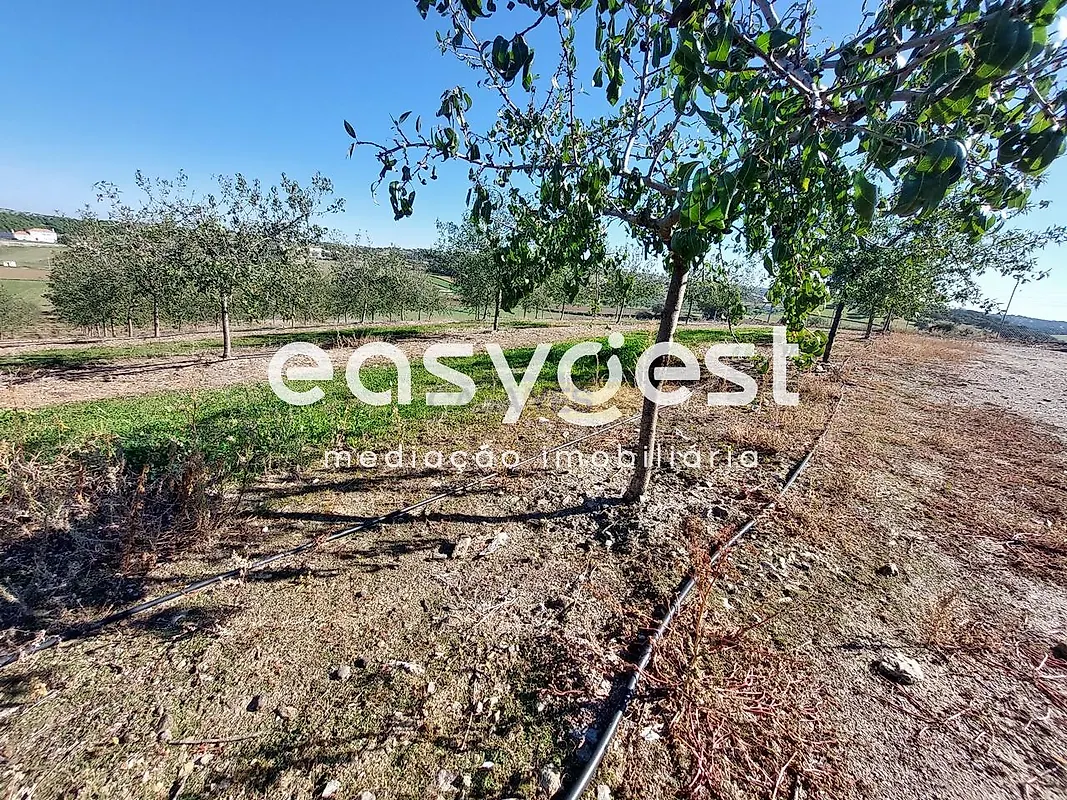 Apartamento T3 à venda em Safara e Santo Aleixo da Restauração, Moura — foto 23