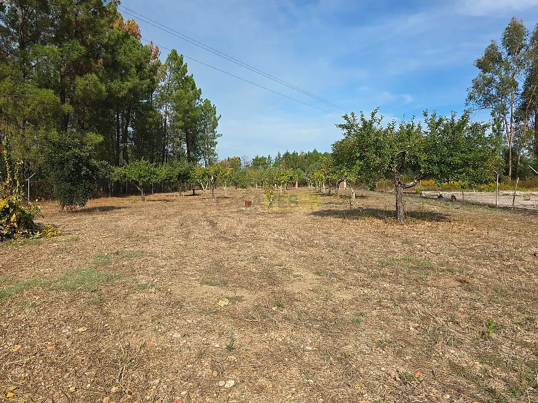 Moradia T5 à venda em Mouronho, Tábua — foto 21