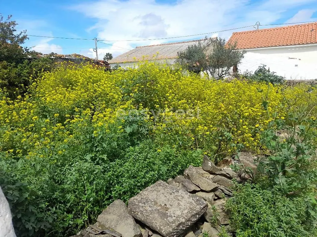 Moradia T2 à venda em São Miguel do Pinheiro, São Pedro de Solis e São Sebastião dos Carros, Mértola — foto 11