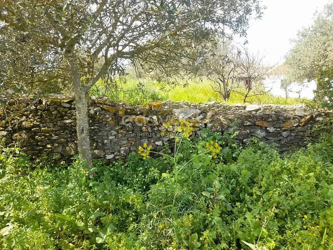 Moradia T2 à venda em São Miguel do Pinheiro, São Pedro de Solis e São Sebastião dos Carros, Mértola — foto 15