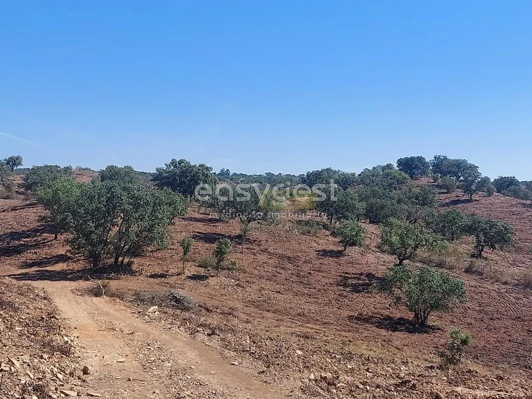 Apartamento T2 à venda em Santana da Serra, Ourique — foto 5