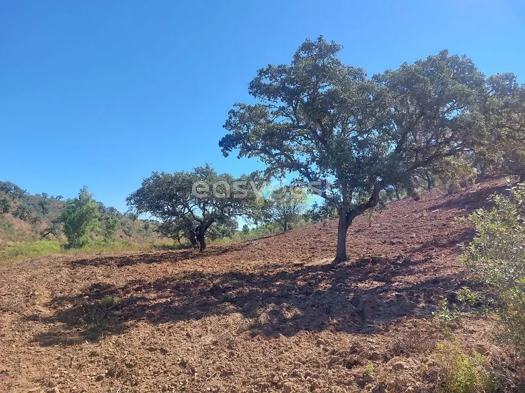 Apartamento T2 à venda em Santana da Serra, Ourique — foto 11