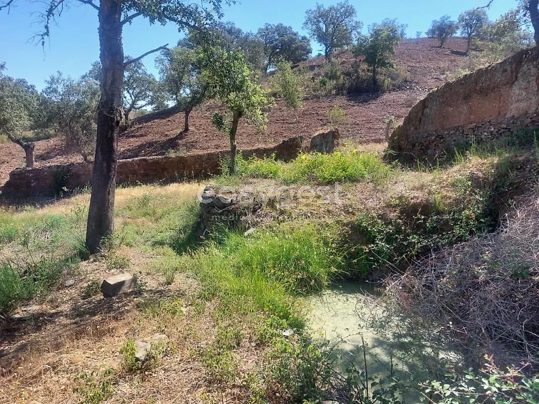 Apartamento T2 à venda em Santana da Serra, Ourique — foto 12