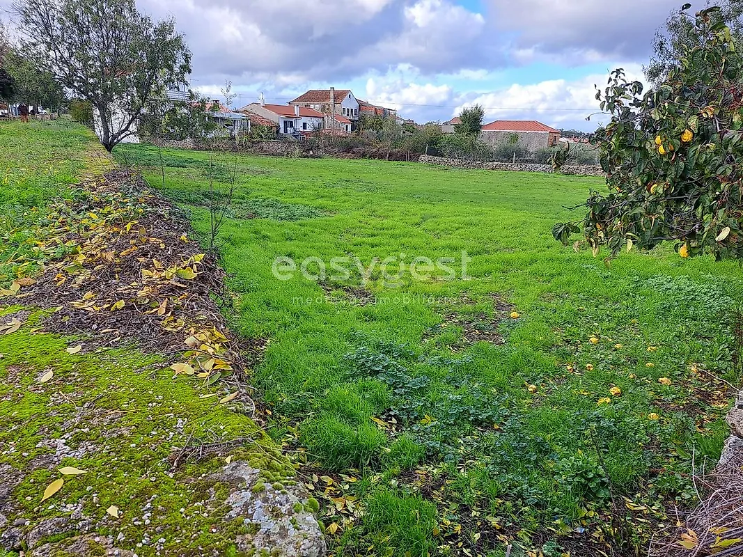 Moradia T6+ à venda em Carviçais, Torre de Moncorvo — foto 4