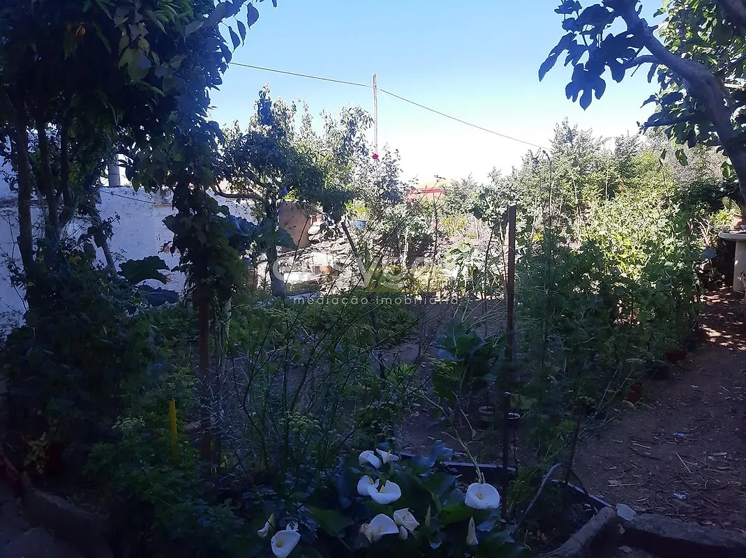 Moradia T6+ à venda em Carviçais, Torre de Moncorvo — foto 6