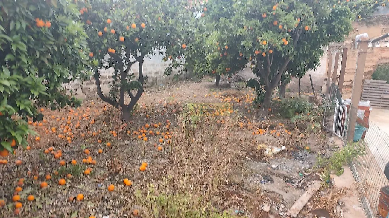 Moradia T2 à venda em Aljustrel e Rio de Moinhos, Aljustrel — foto 11