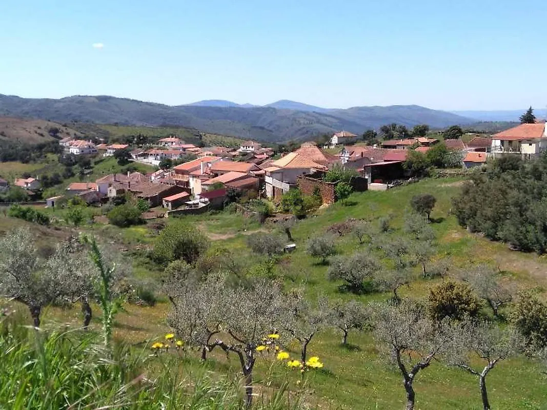 Moradia T4 à venda em Mogadouro, Valverde, Vale de Porco e Vilar de Rei, Mogadouro — foto 16