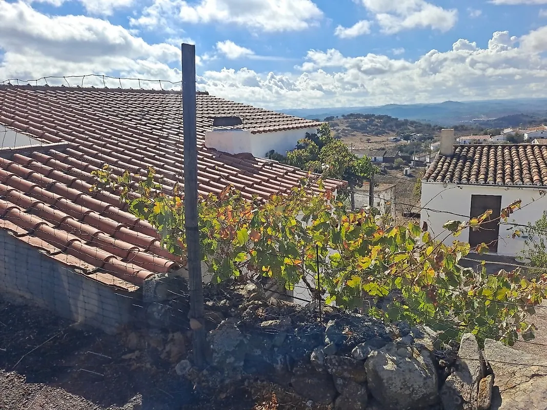 Moradia T4 à venda em Martim Longo, Alcoutim — foto 6