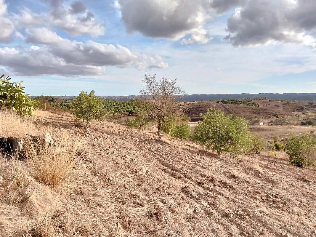 Moradia T4 à venda em Martim Longo, Alcoutim — foto 17