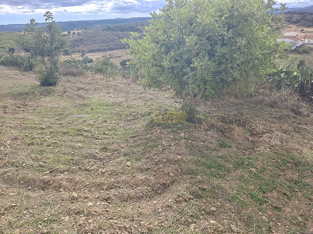 Moradia T4 à venda em Martim Longo, Alcoutim — foto 20
