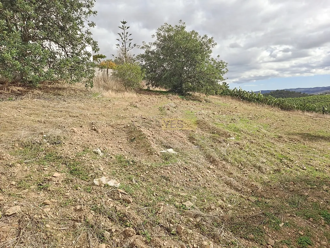 Moradia T4 à venda em Martim Longo, Alcoutim — foto 26
