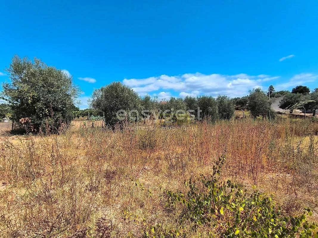 Moradia T3 à venda em Mouriscas, Abrantes — foto 4