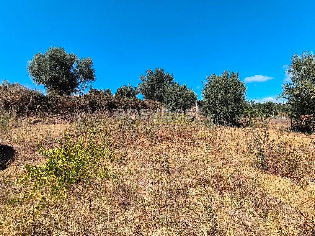Moradia T3 à venda em Mouriscas, Abrantes — foto 8