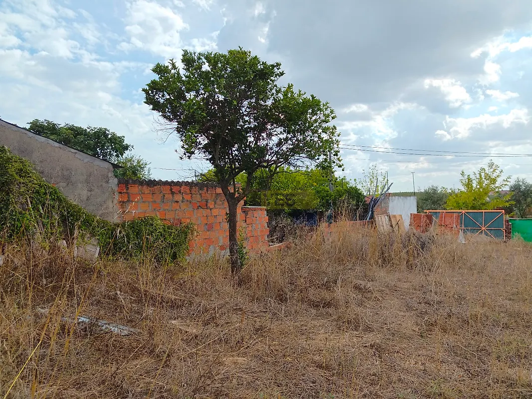 Moradia T0 à venda em Alcanhões, Santarém — foto 6