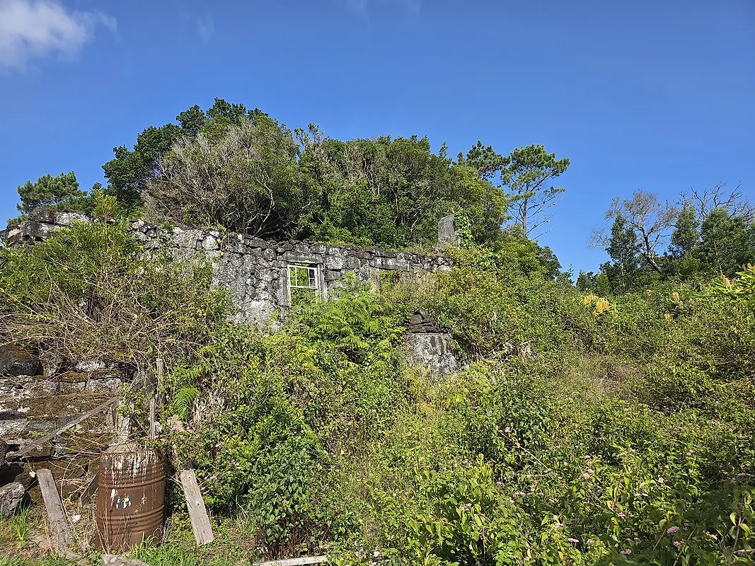 Moradia T1 à venda em Santo António, São Roque do Pico — foto 6