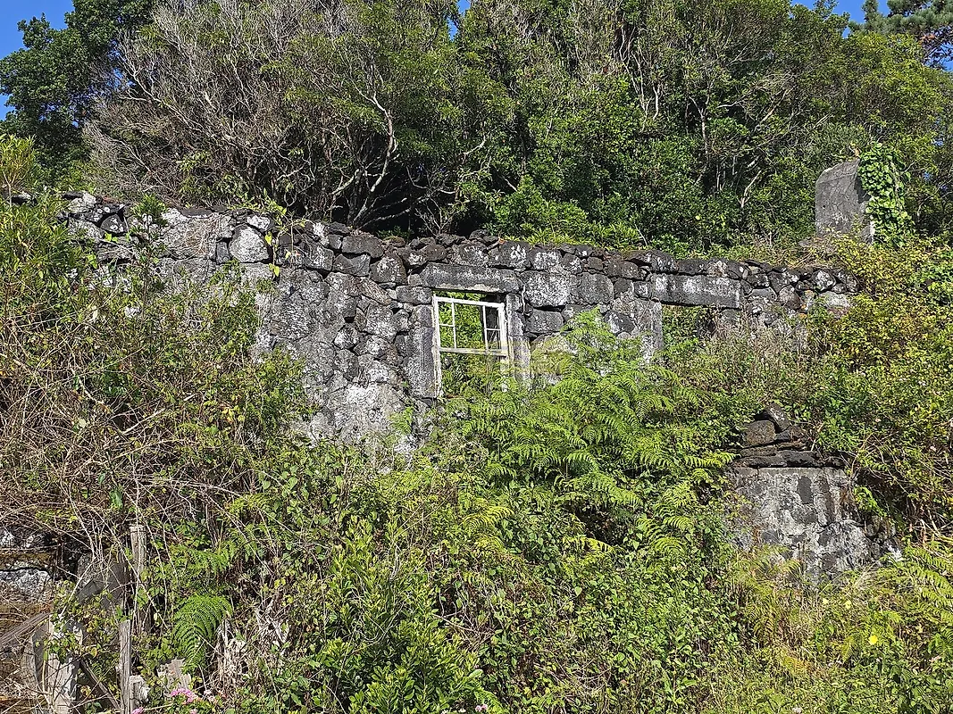 Moradia T1 à venda em Santo António, São Roque do Pico — foto 9