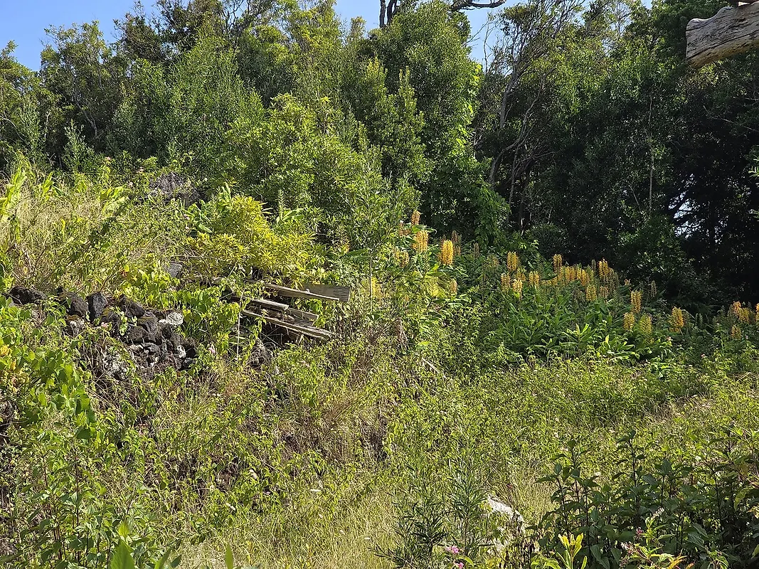 Moradia T1 à venda em Santo António, São Roque do Pico — foto 10