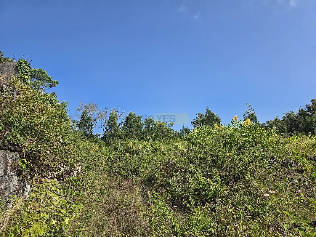 Moradia T1 à venda em Santo António, São Roque do Pico — foto 11