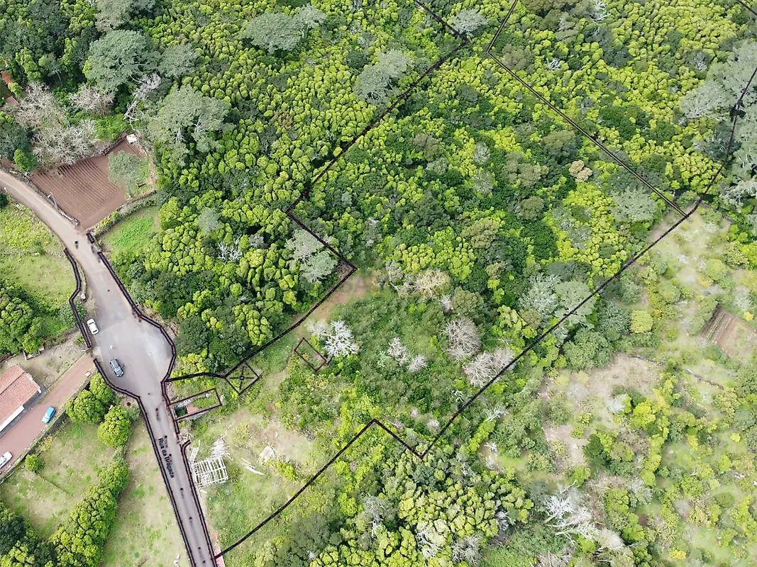 Moradia T1 à venda em Santo António, São Roque do Pico — foto 12