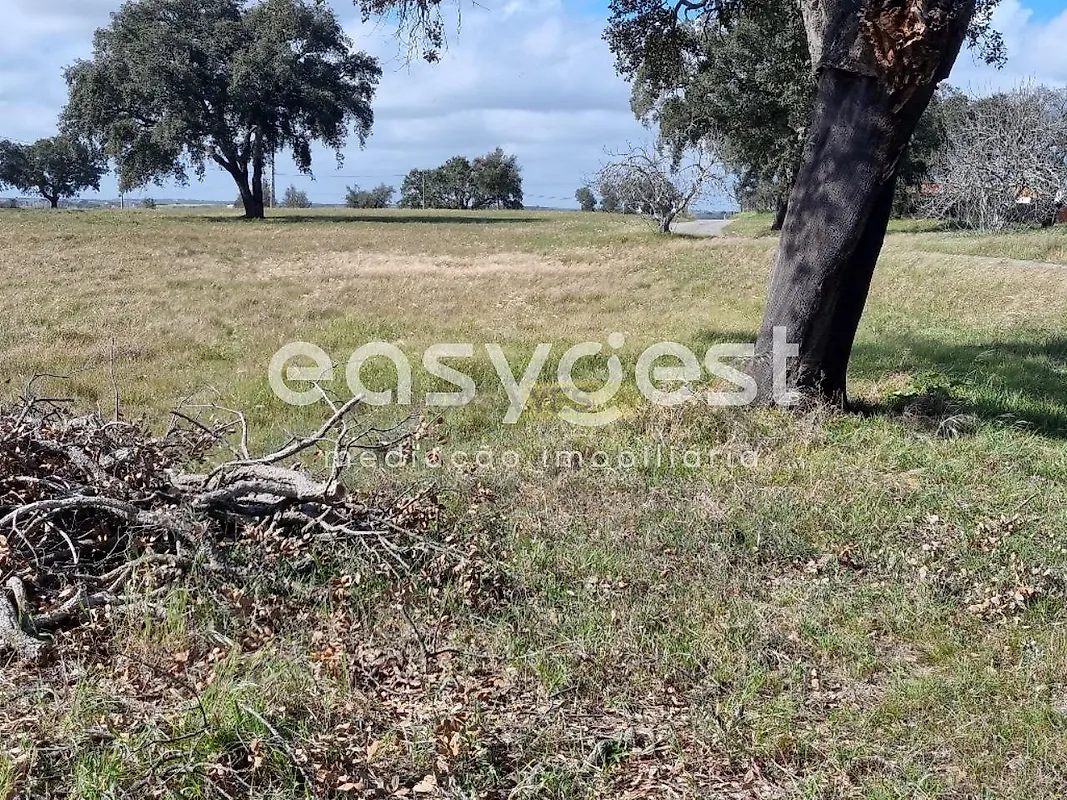Apartamento T2 à venda em Figueira dos Cavaleiros, Ferreira do Alentejo — foto 2