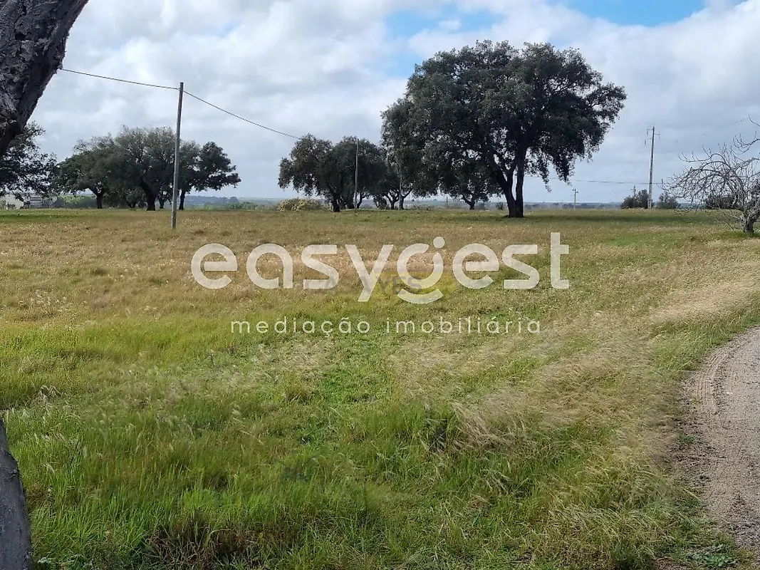 Apartamento T2 à venda em Figueira dos Cavaleiros, Ferreira do Alentejo — foto 11