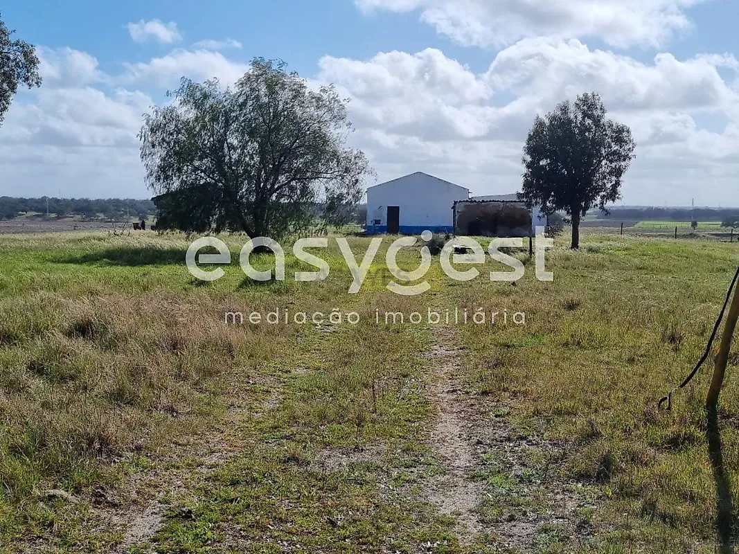 Apartamento T2 à venda em Figueira dos Cavaleiros, Ferreira do Alentejo — foto 12