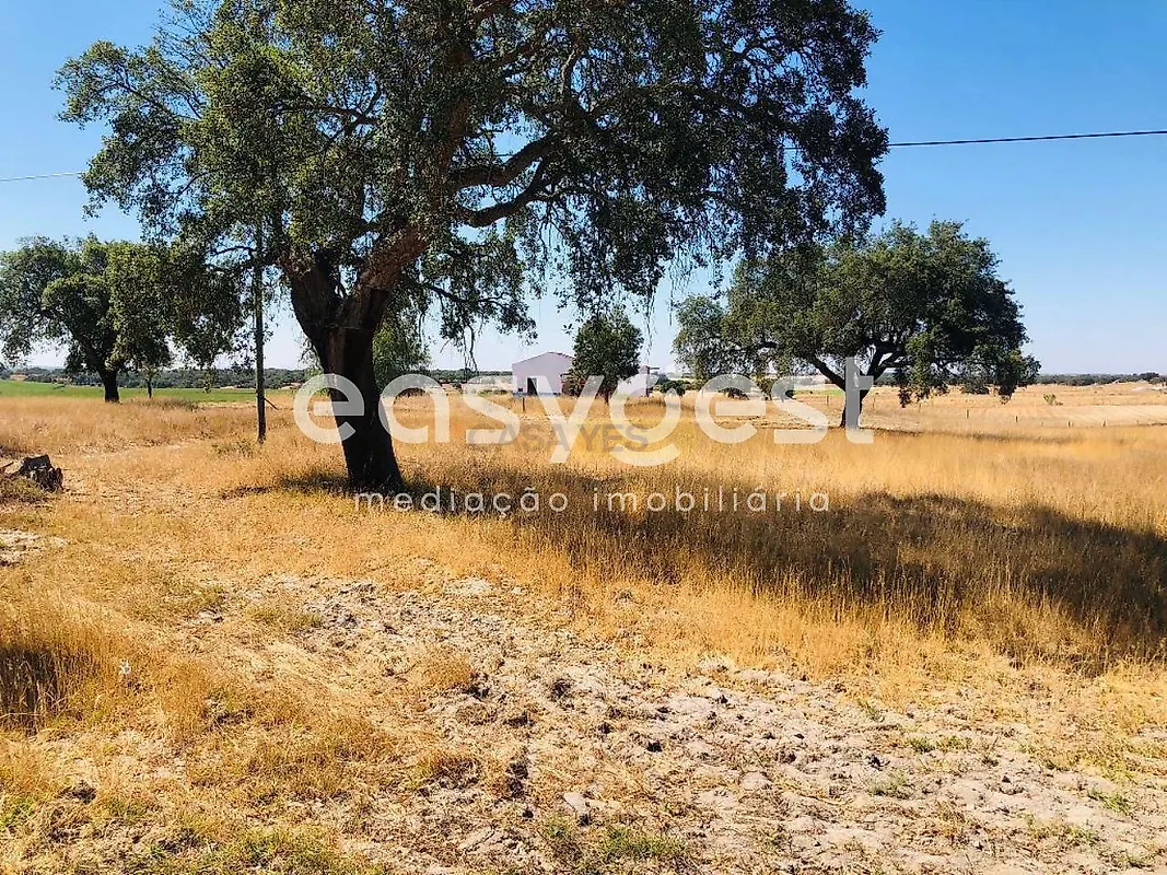Apartamento T2 à venda em Figueira dos Cavaleiros, Ferreira do Alentejo — foto 13