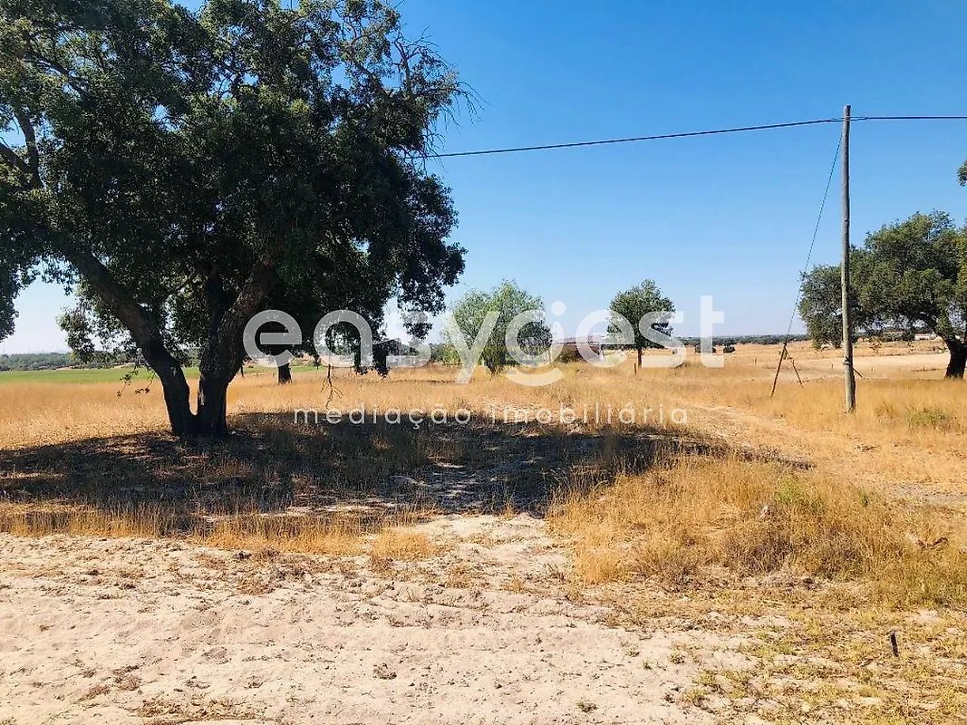 Apartamento T2 à venda em Figueira dos Cavaleiros, Ferreira do Alentejo — foto 16