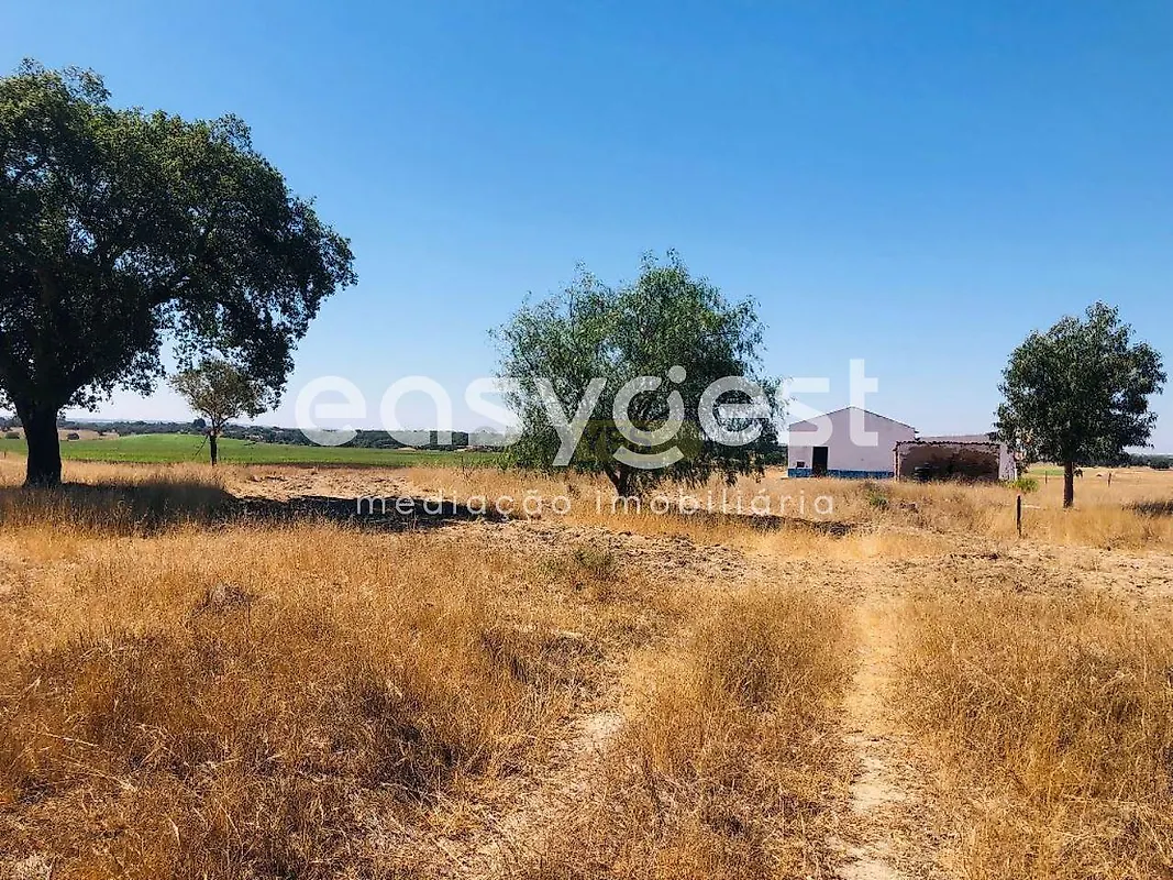 Apartamento T2 à venda em Figueira dos Cavaleiros, Ferreira do Alentejo — foto 17