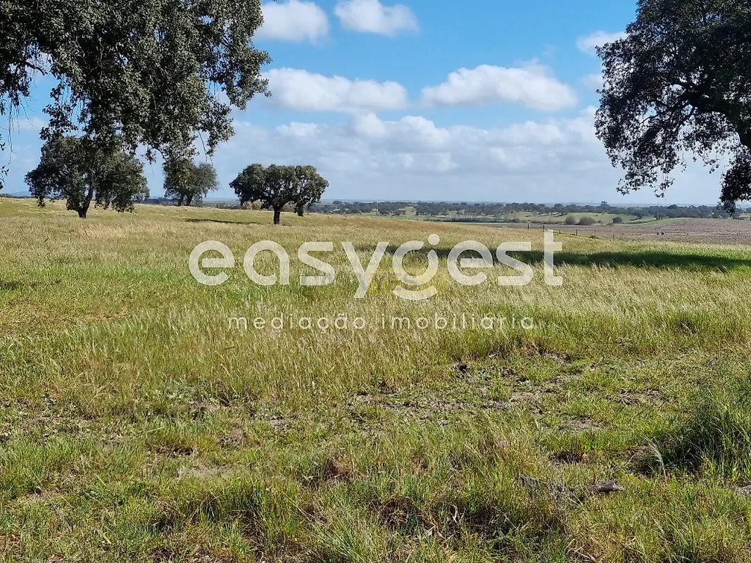 Apartamento T2 à venda em Figueira dos Cavaleiros, Ferreira do Alentejo — foto 23