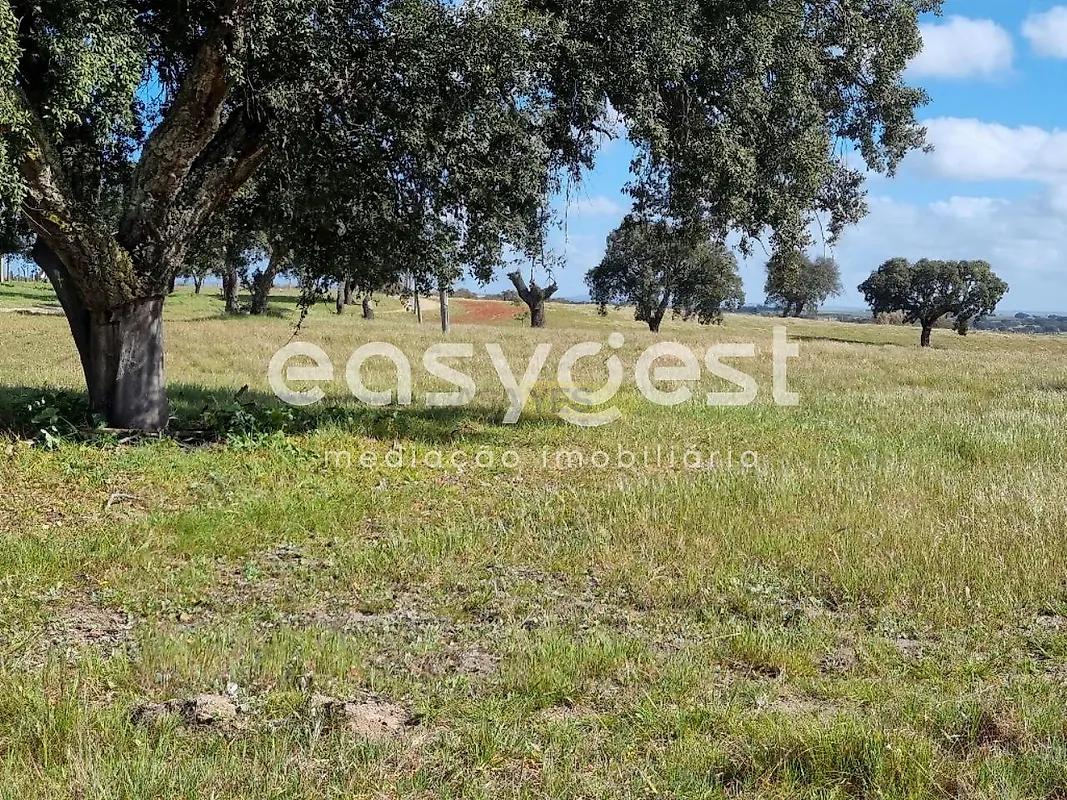 Apartamento T2 à venda em Figueira dos Cavaleiros, Ferreira do Alentejo — foto 24