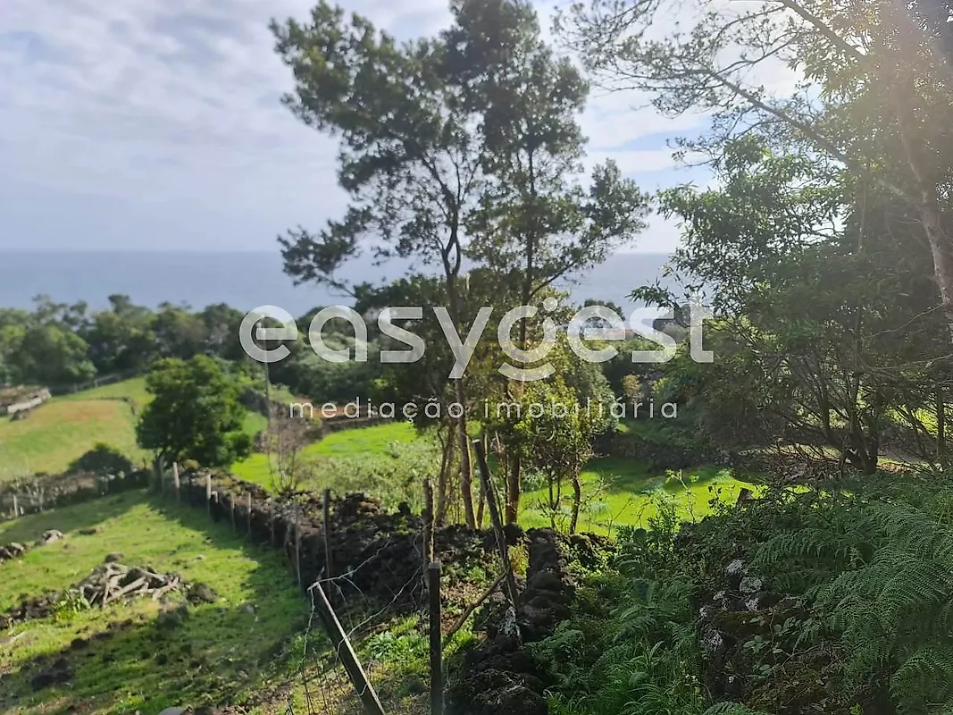 Moradia T1 à venda em São João, Lajes do Pico — foto 7