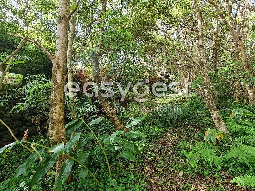 Moradia T1 à venda em São João, Lajes do Pico — foto 10