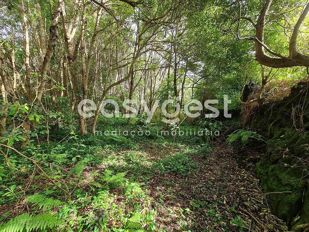 Moradia T1 à venda em São João, Lajes do Pico — foto 12