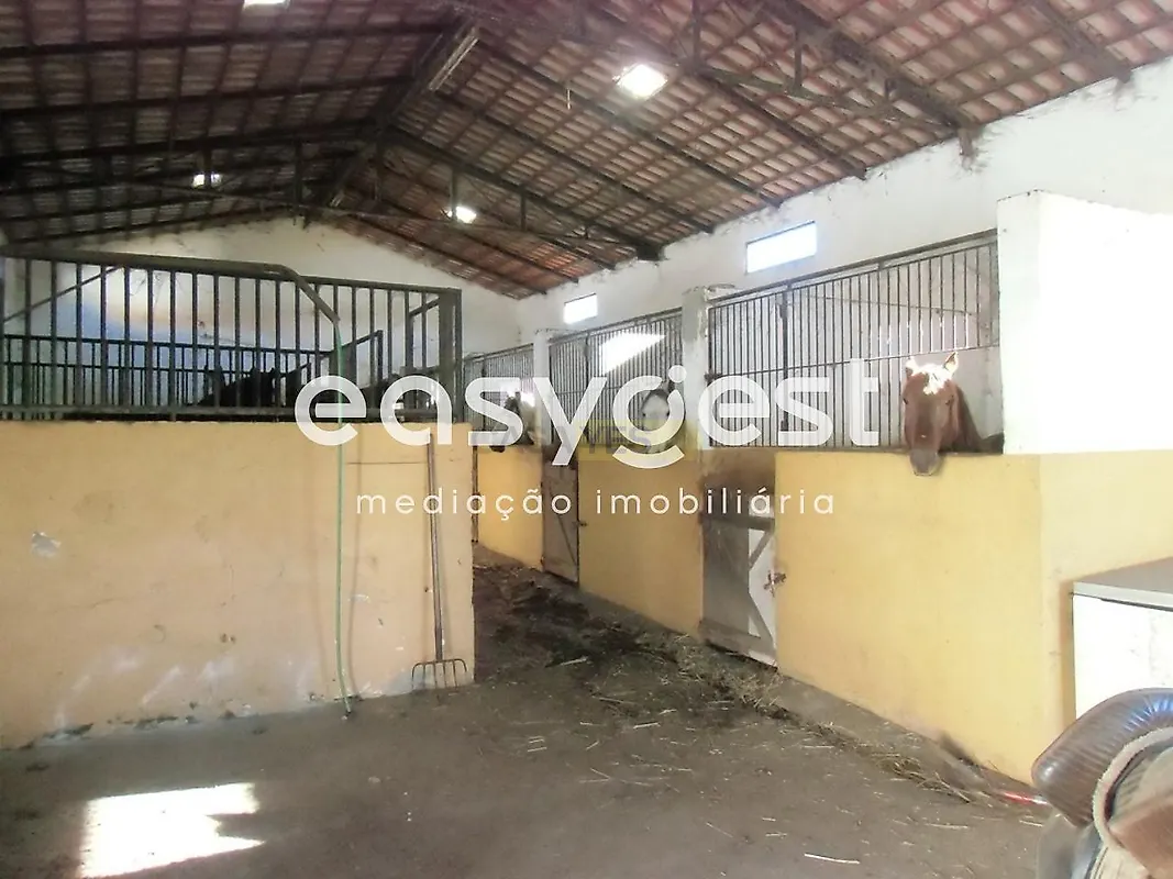 Apartamento T2 à venda em Moura (Santo Agostinho e São João Baptista) e Santo Amador, Moura — foto 12