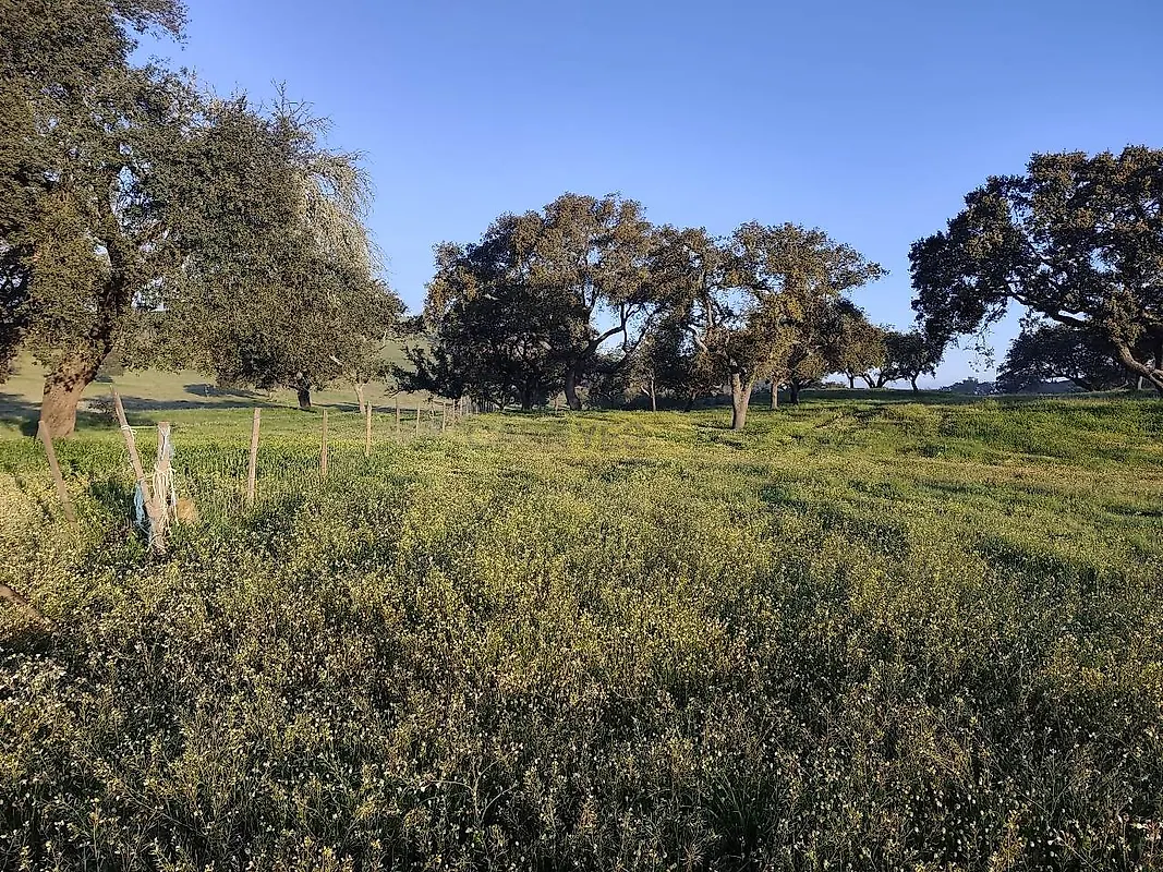 Apartamento T2 à venda em Messejana, Aljustrel — foto 6