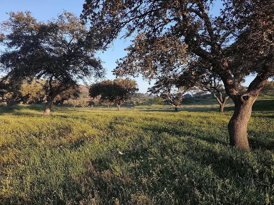 Apartamento T2 à venda em Messejana, Aljustrel — foto 11
