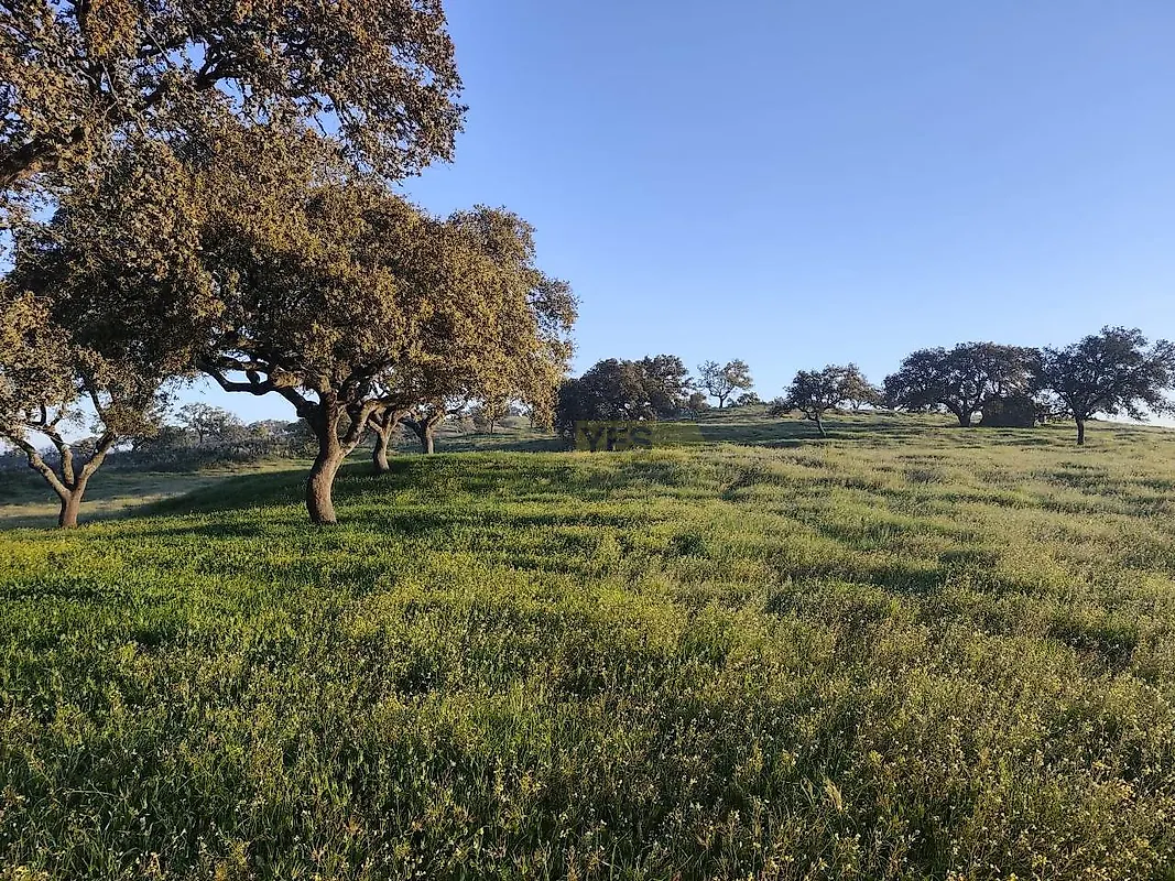 Apartamento T2 à venda em Messejana, Aljustrel — foto 16