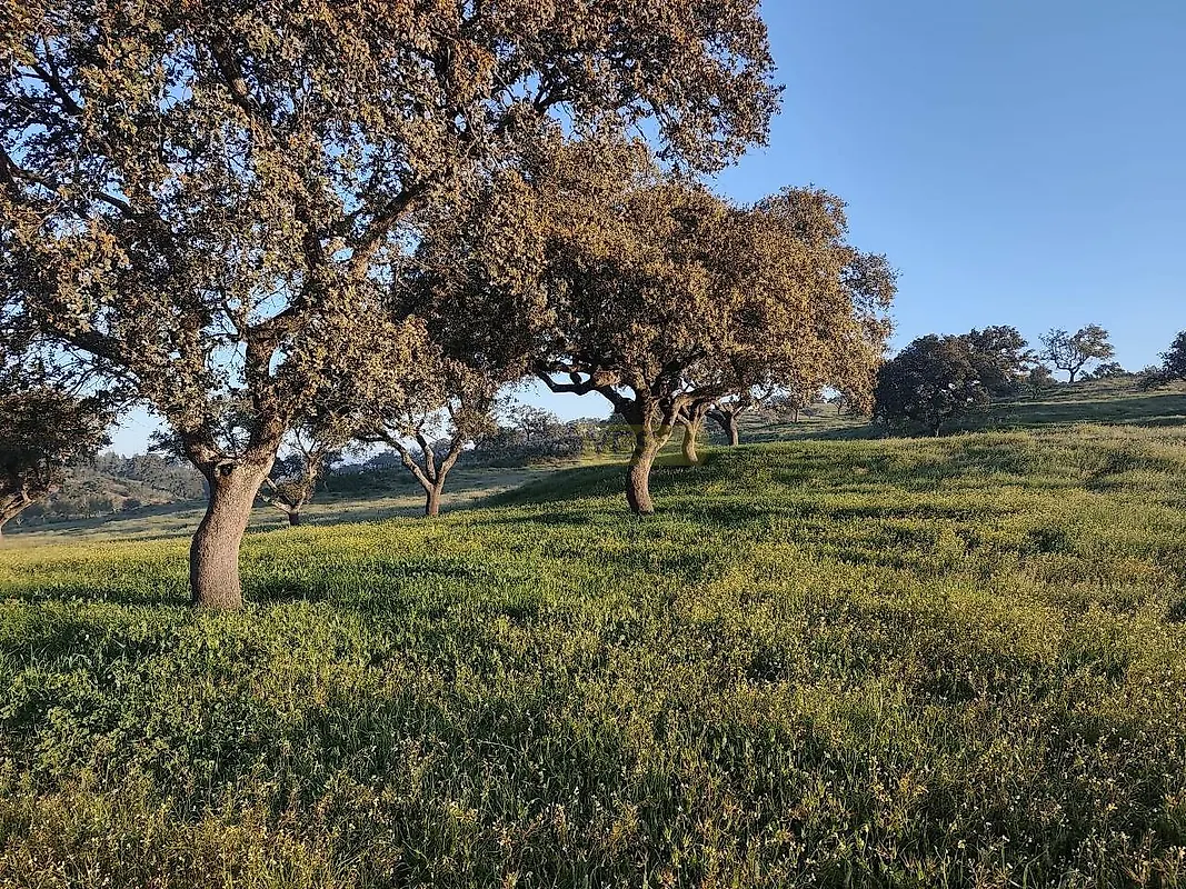 Apartamento T2 à venda em Messejana, Aljustrel — foto 17